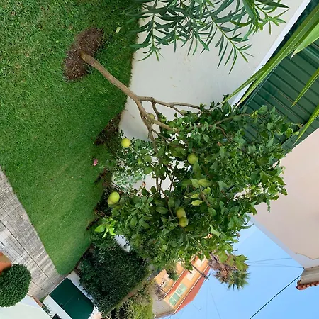 Maison Cosy Piscine 4 Chambres * Cascais
