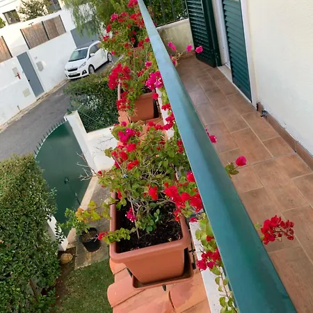 Maison Cosy Piscine 4 Chambres Feriehus *